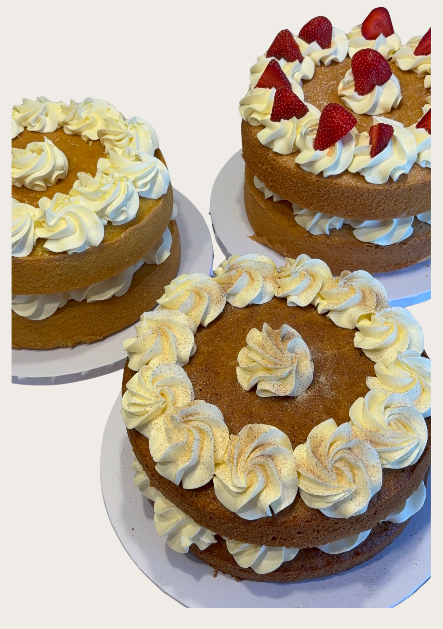 Large Sandwich Cakes